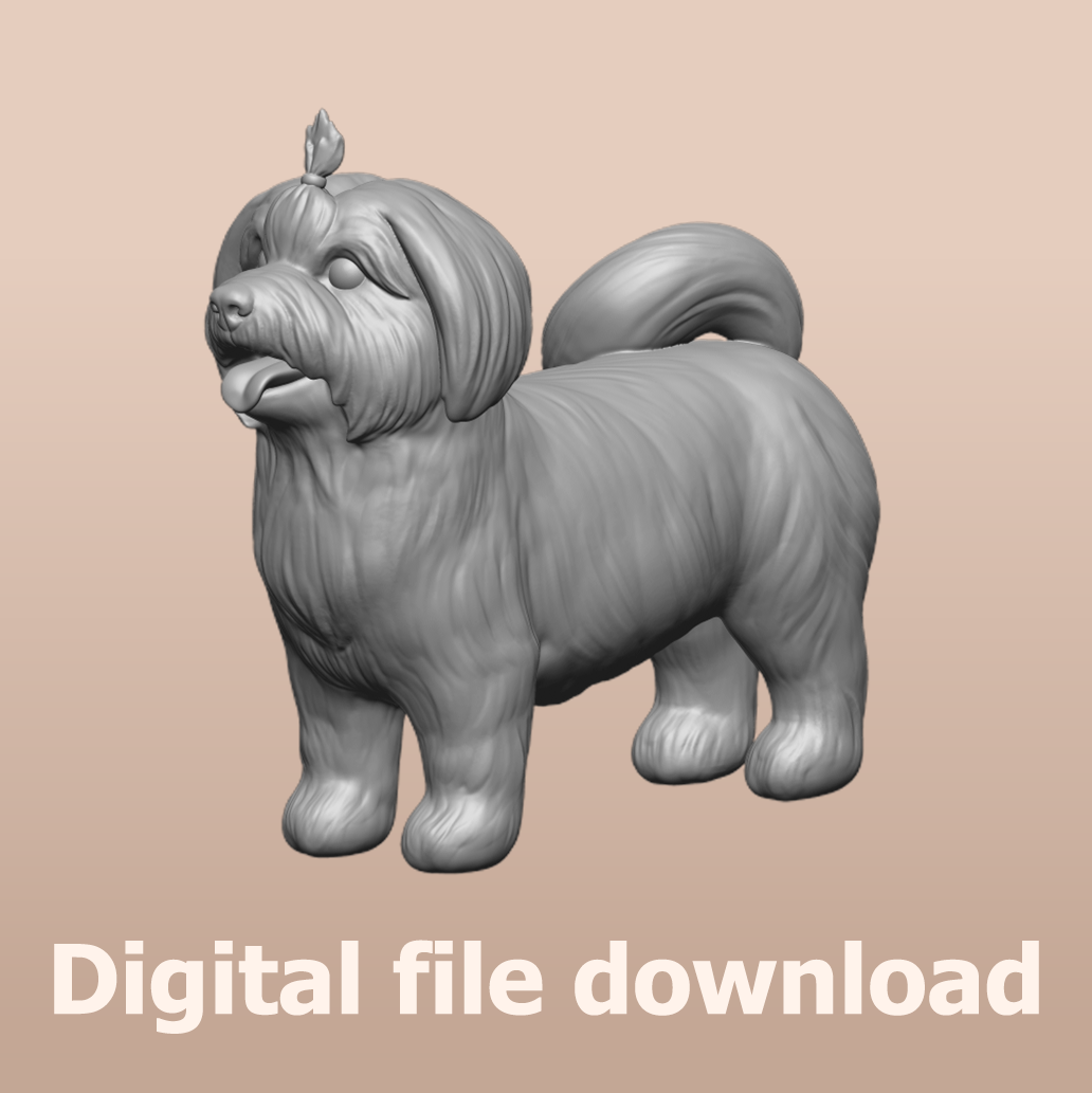 Havanese STL