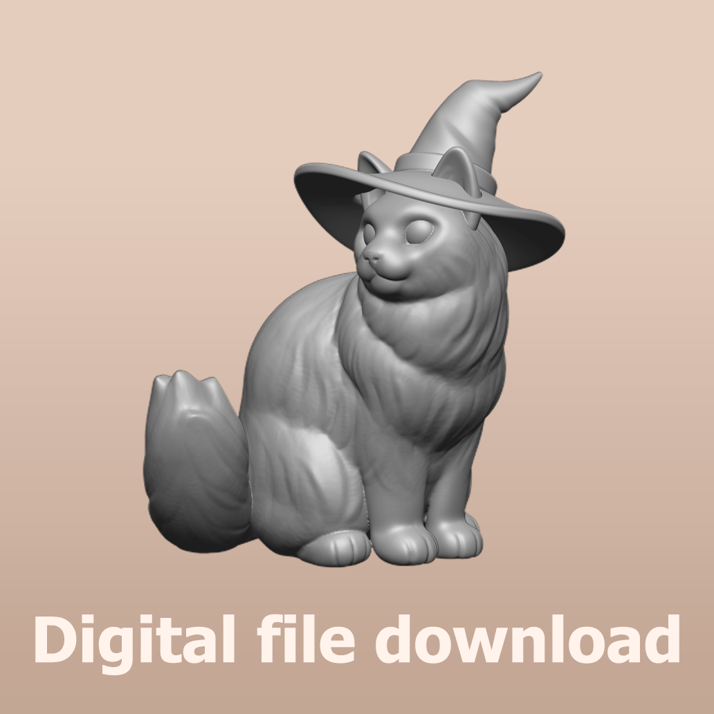 Ragdoll Cat Witch STL