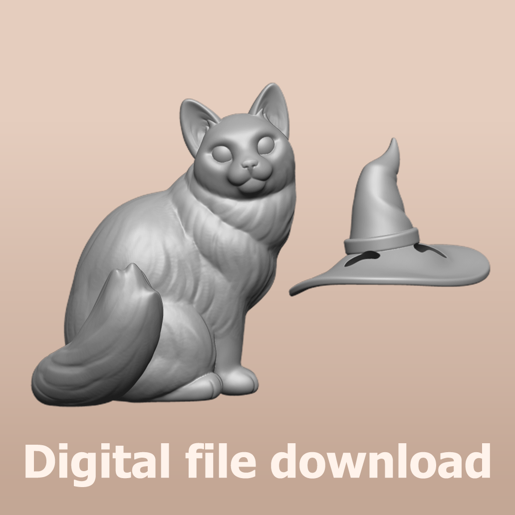 Ragdoll Cat Witch STL